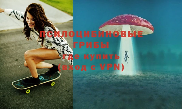 дурь Алзамай
