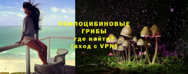 дурь Алзамай